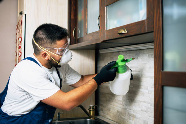 Best Cockroach Control Services  in Pleasant Hills, OH