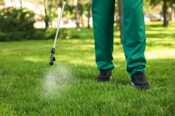 Best Local Pest Control Services  in Pleasant Hills, OH