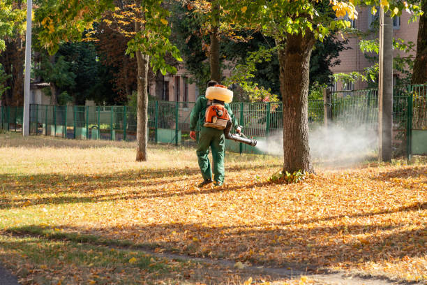Pest Prevention Services in Pleasant Hills, OH