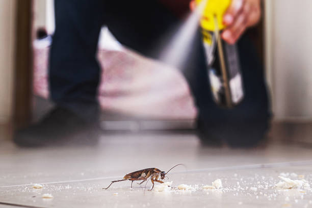 Best Pest Inspection Near Me  in Pleasant Hills, OH